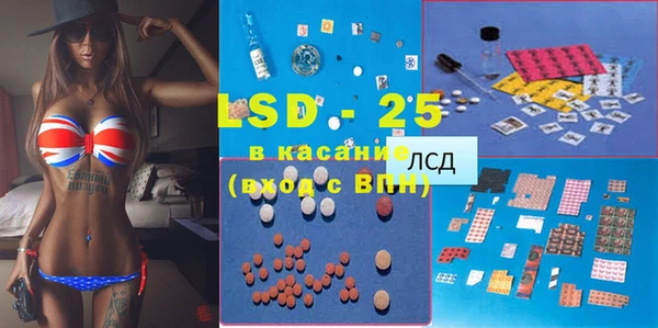 спиды Верея