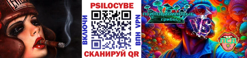 Галлюциногенные грибы Cubensis  Ельня 